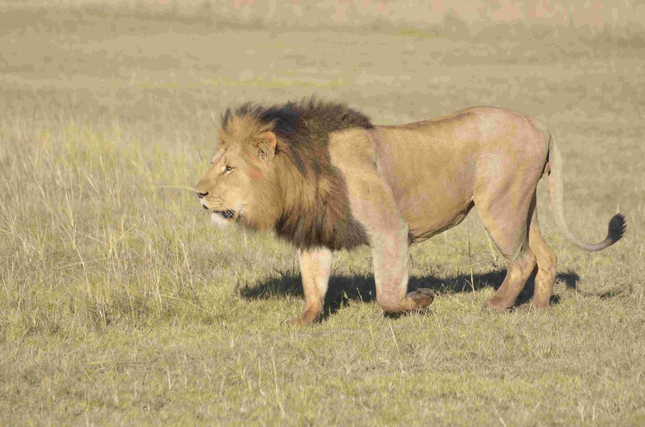 Lalibela Game Reserve Grahamstown Exterior foto