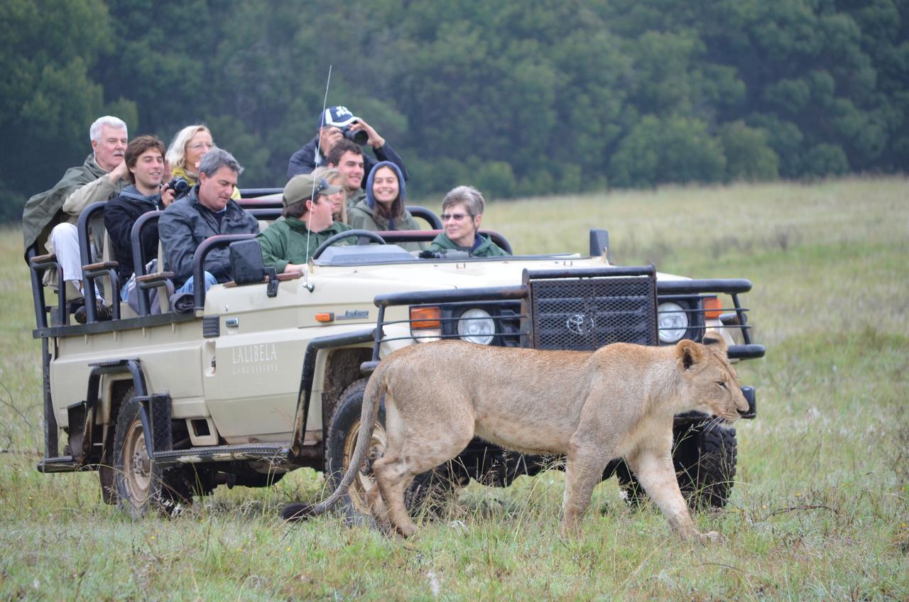 Lalibela Game Reserve Grahamstown Exterior foto