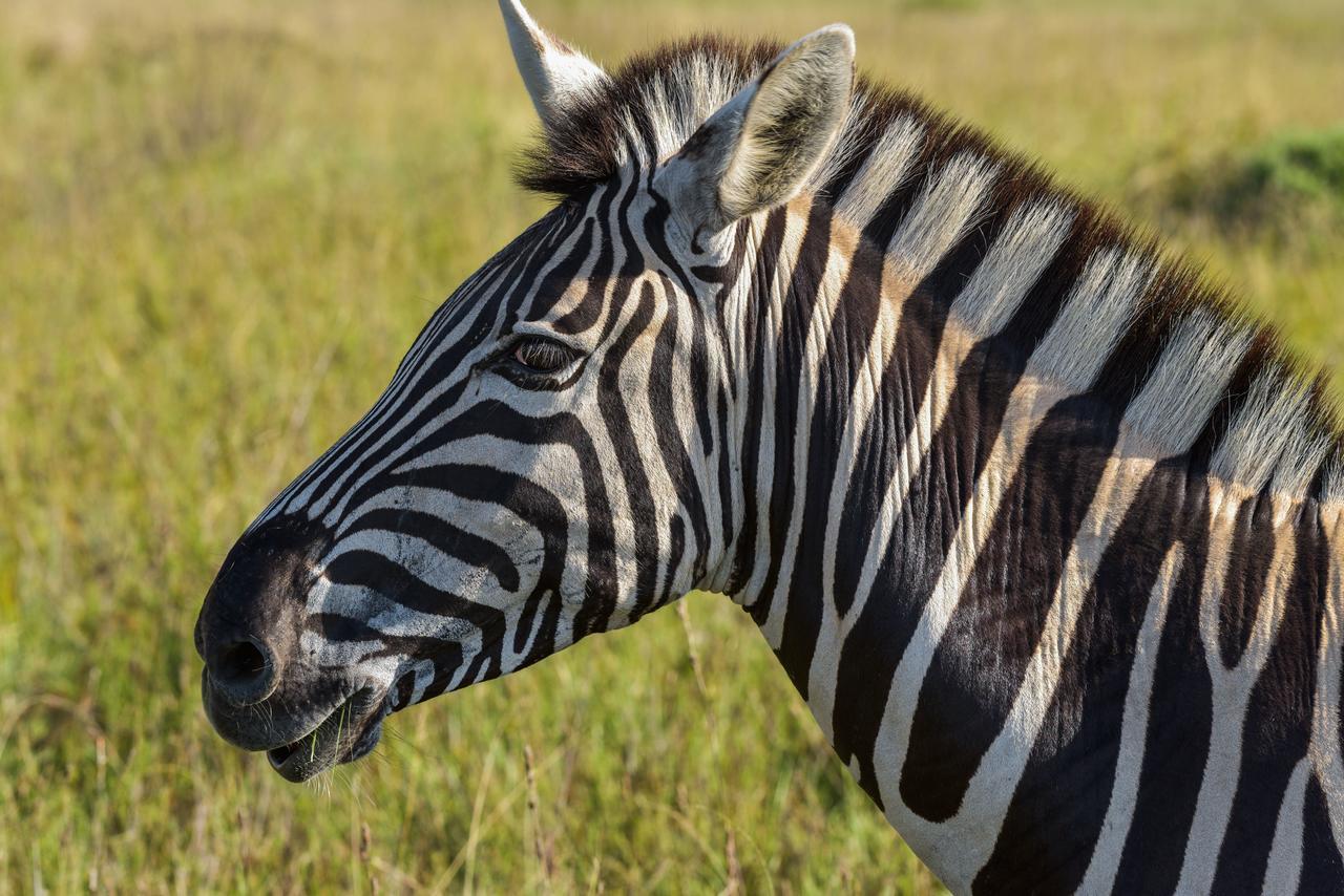 Lalibela Game Reserve Grahamstown Exterior foto