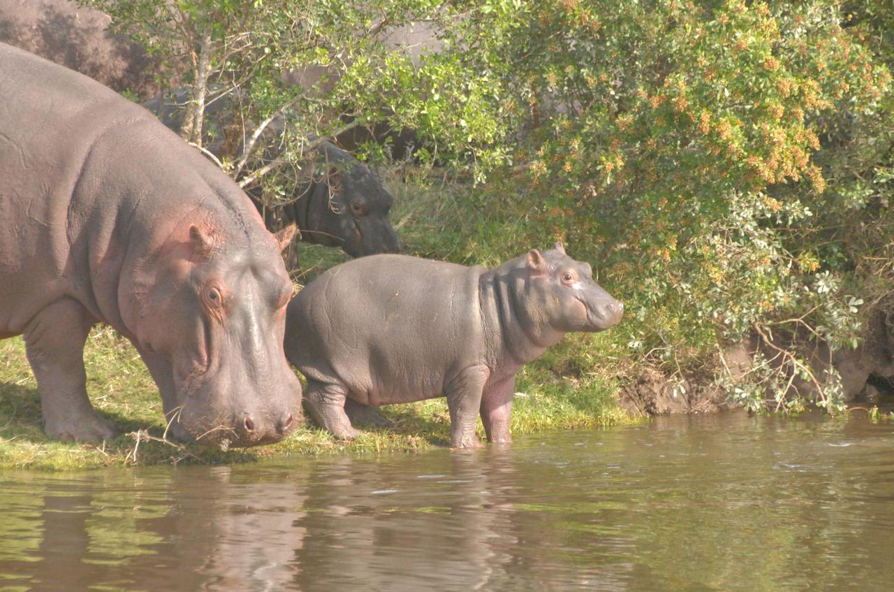 Lalibela Game Reserve Grahamstown Exterior foto