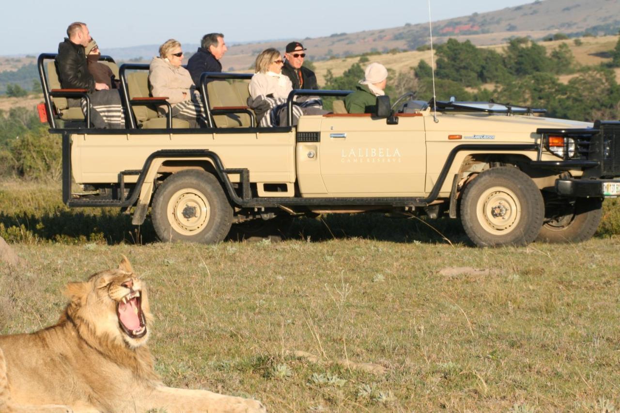 Lalibela Game Reserve Grahamstown Exterior foto
